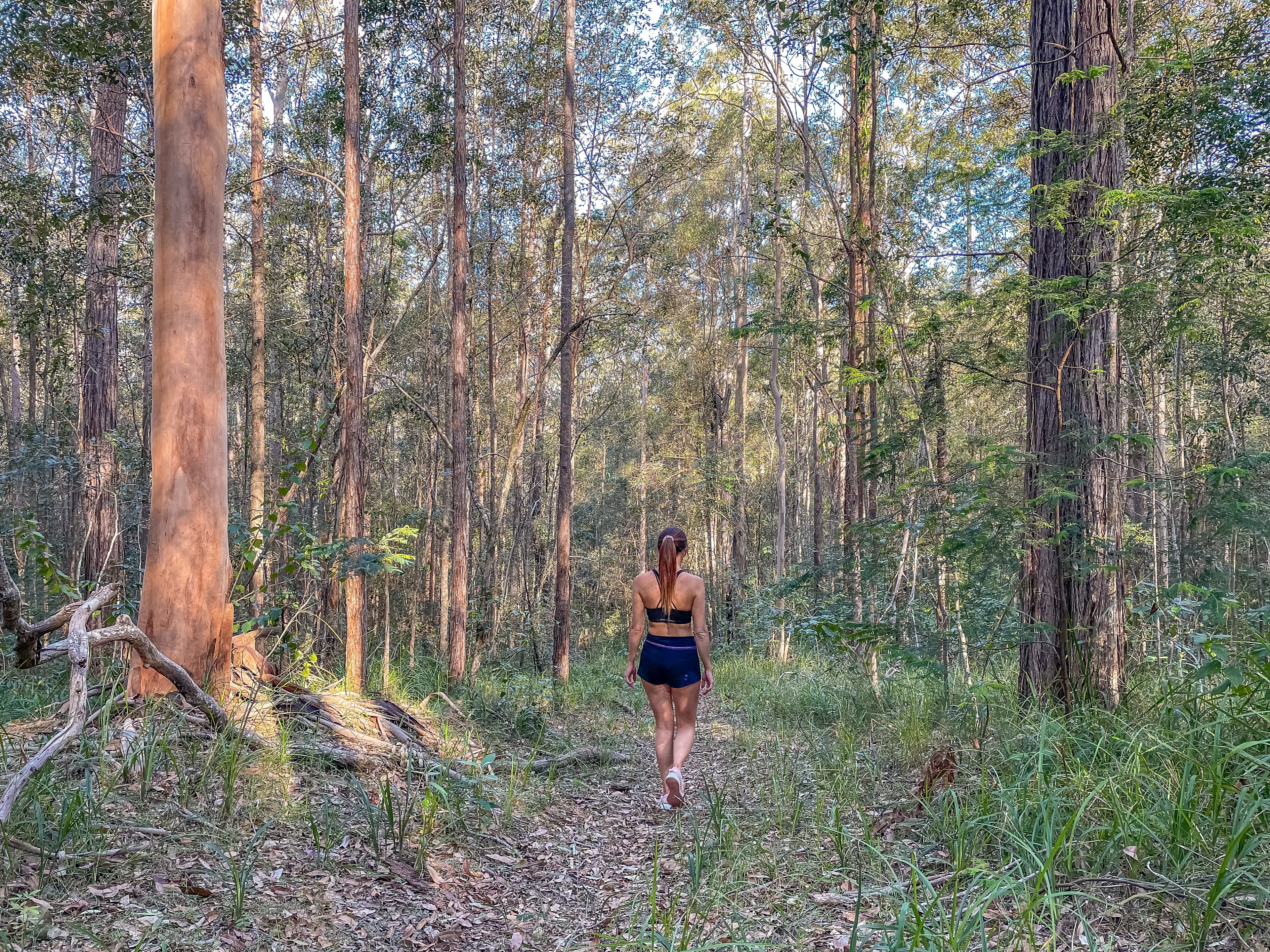 Stanmore QLD 4514, Stanmore - Thumbnail 3