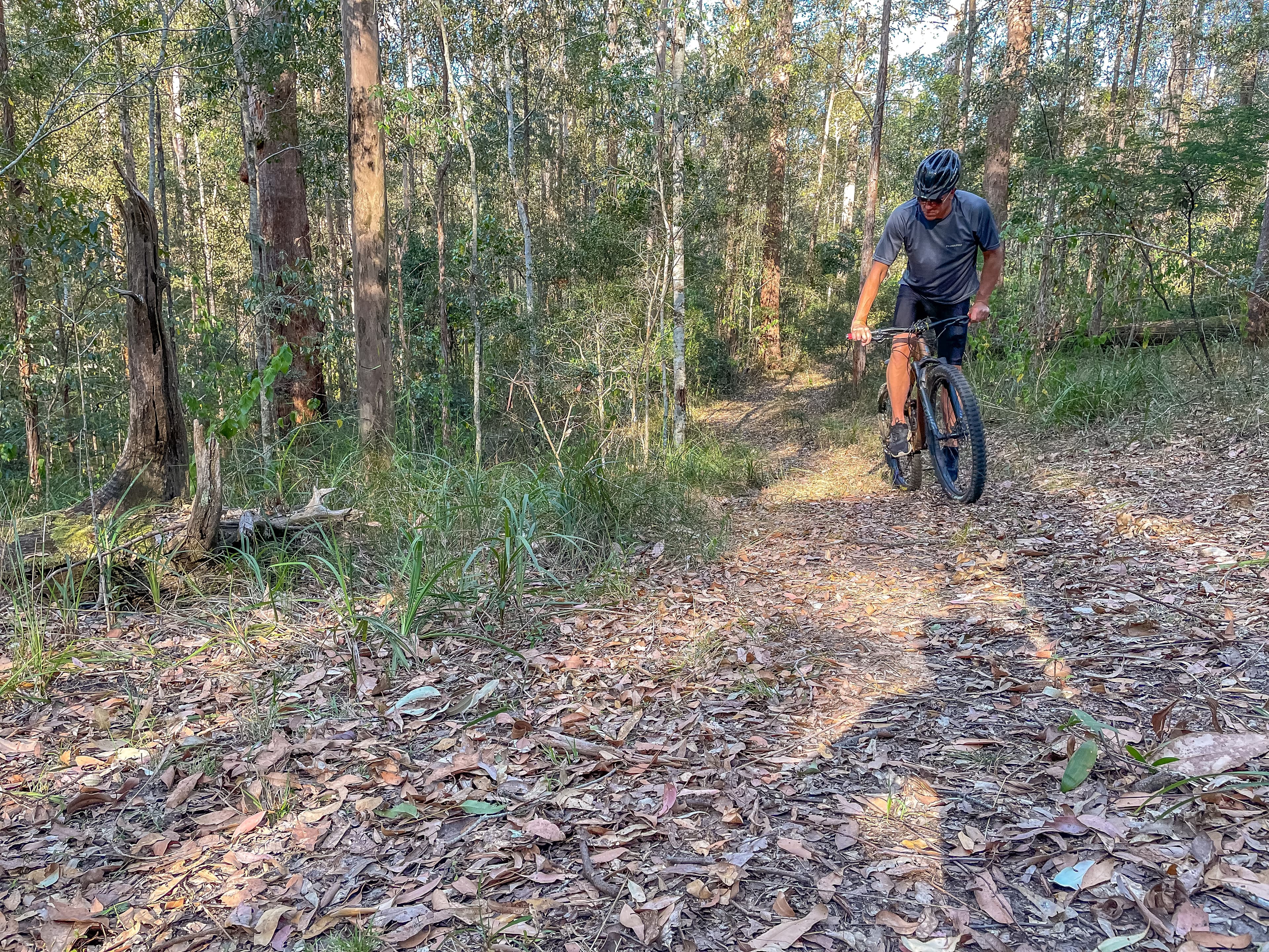 Stanmore QLD 4514, Stanmore - Thumbnail 4