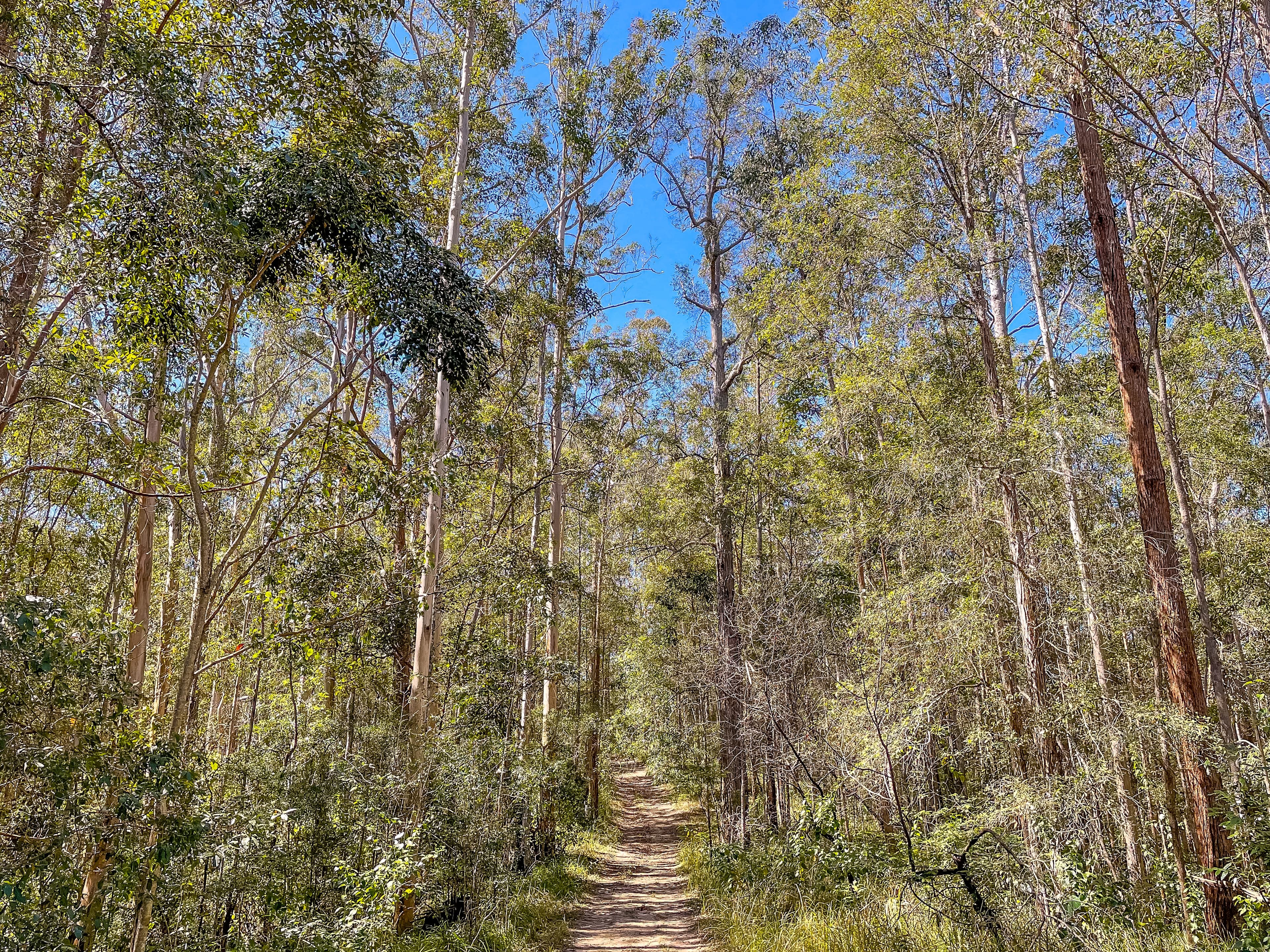 Stanmore QLD 4514, Stanmore - Thumbnail 6