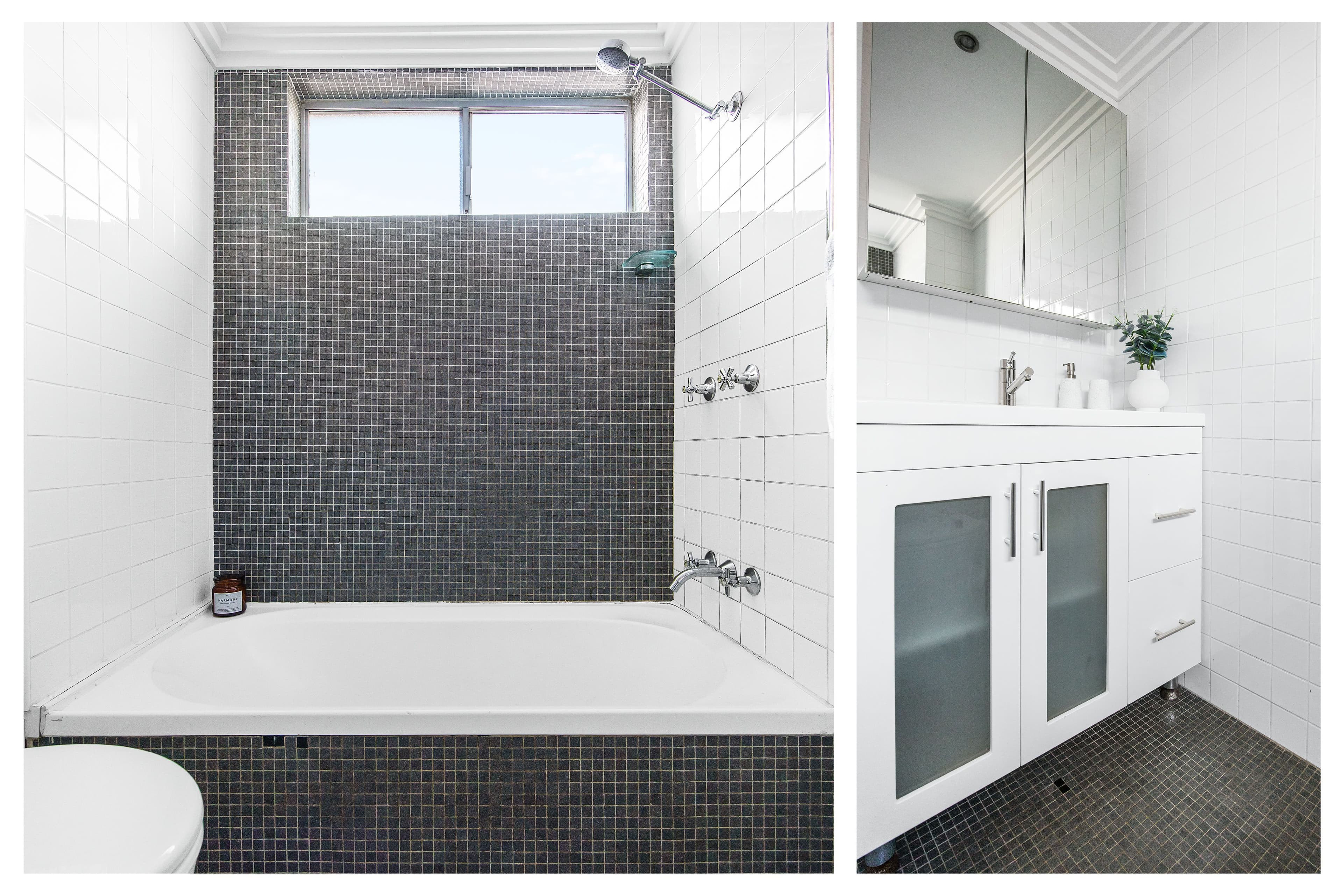 133 Belmont Road, Mosman NSW 2088, Mosman - Thumbnail 6