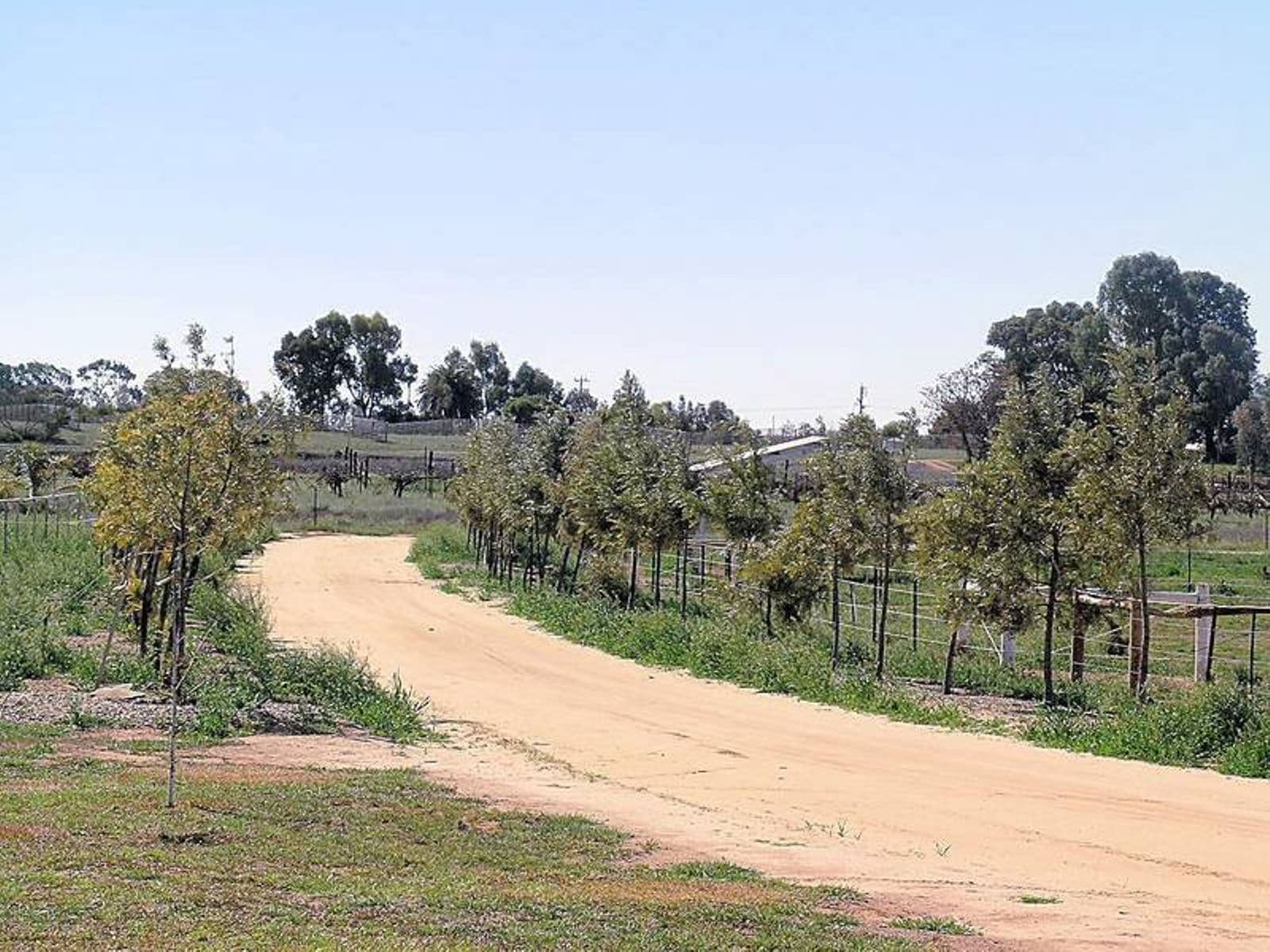 Blaby's Lane, Merbein - Thumbnail 4