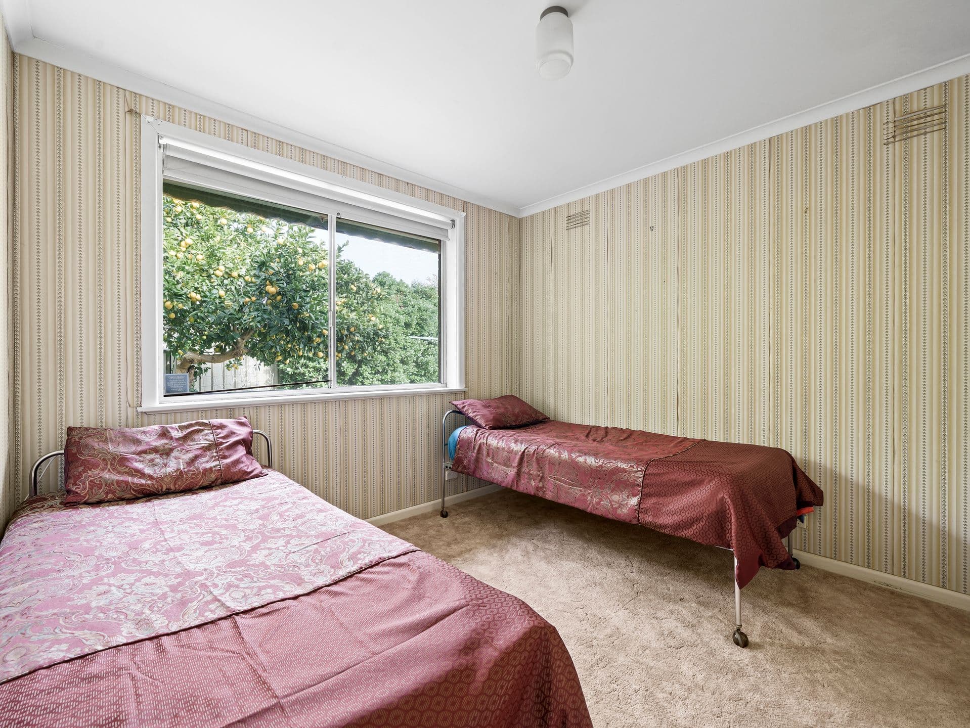 16 Latimer Street, Benalla VIC 3672, Benalla - Thumbnail 7
