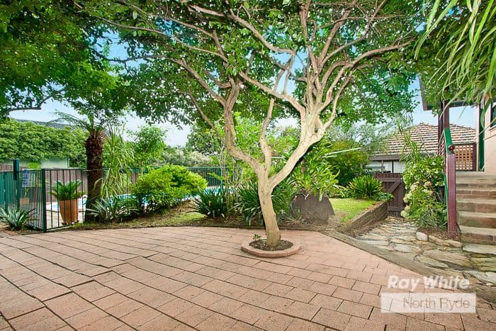 25 Numa Road, North Ryde NSW 2113, North Ryde - Thumbnail 4