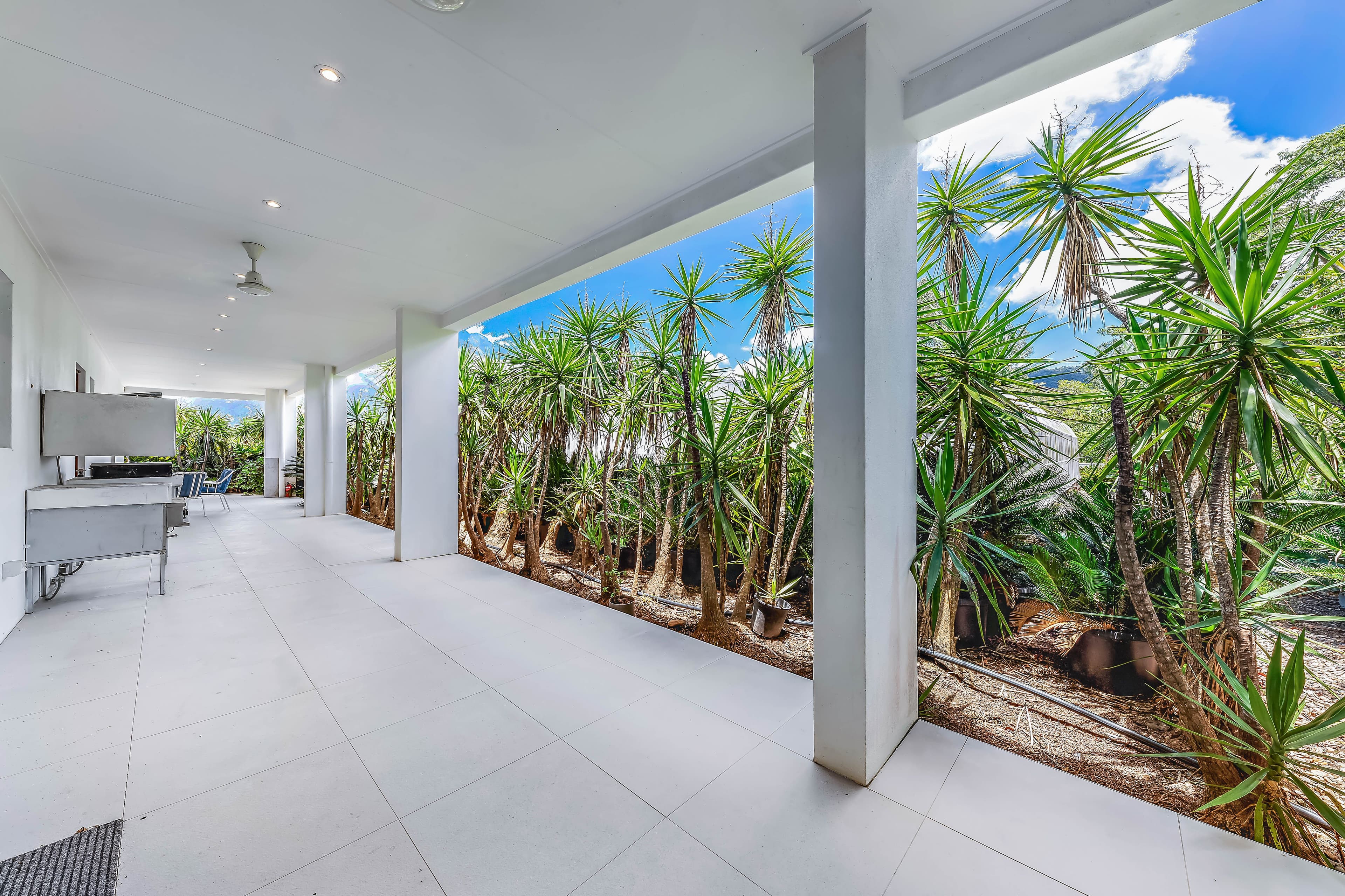 9 Beames Crescent, Cannon Valley QLD 4800, Cannon Valley - Thumbnail 3