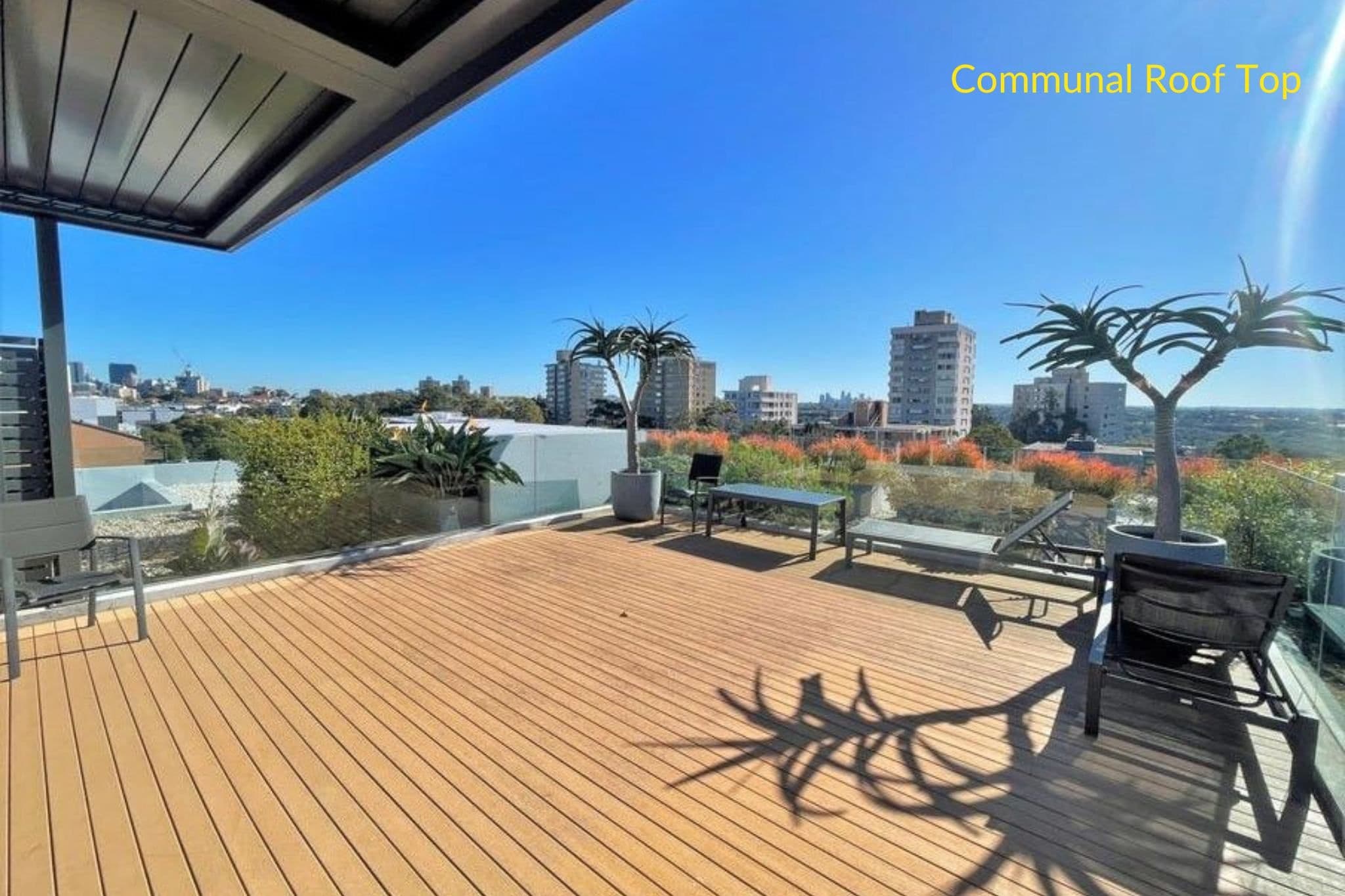 59 Parraween Street, Cremorne NSW 2090, Cremorne - Thumbnail 5