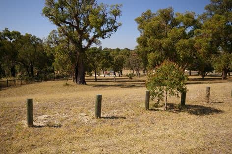 53 Waddington Crescent, KOONDOOLA WA 6064, Koondoola - Thumbnail 7