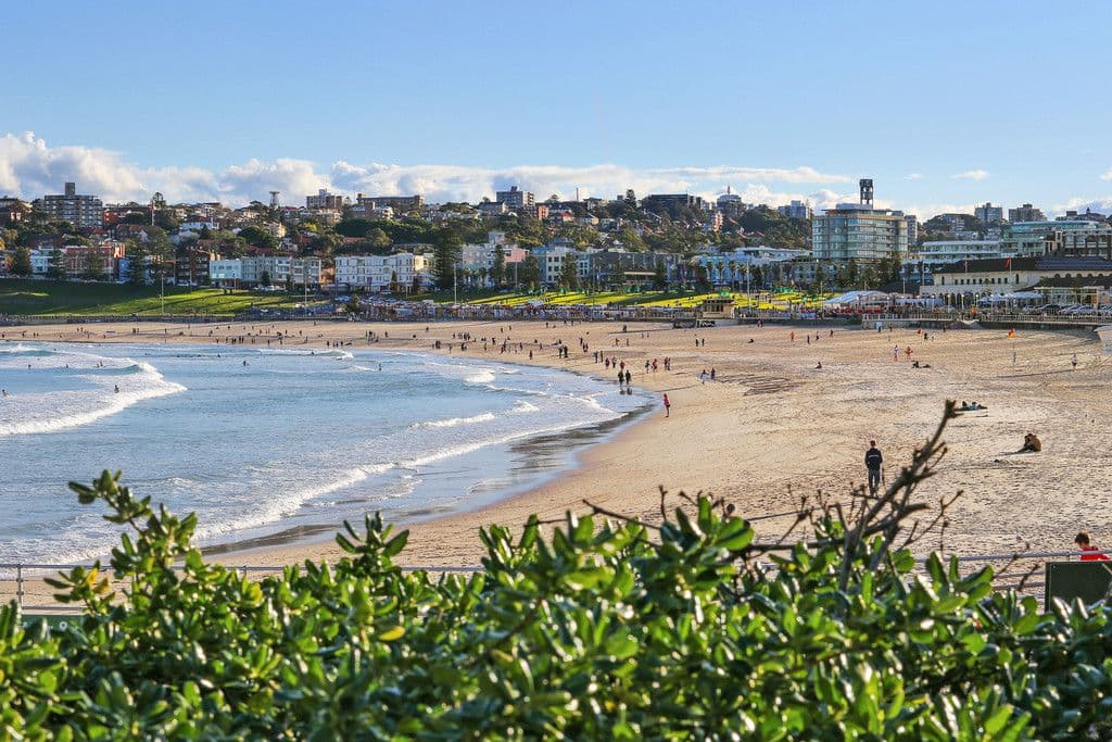 101 Ramstage Avenue, North Bondi NSW 2026, North Bondi - Thumbnail 7