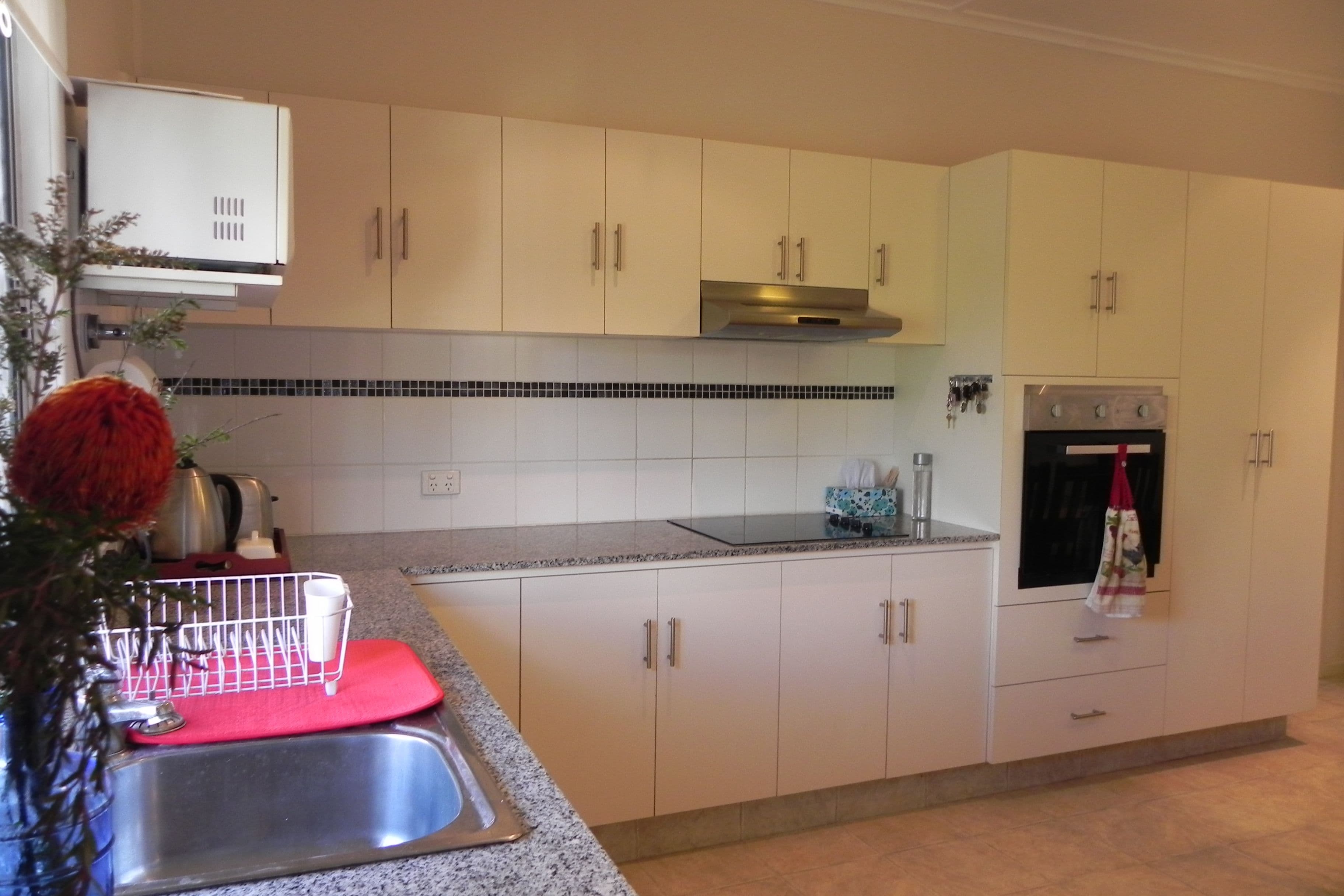 19 Weale, Pittsworth QLD 4356, Pittsworth - Thumbnail 5