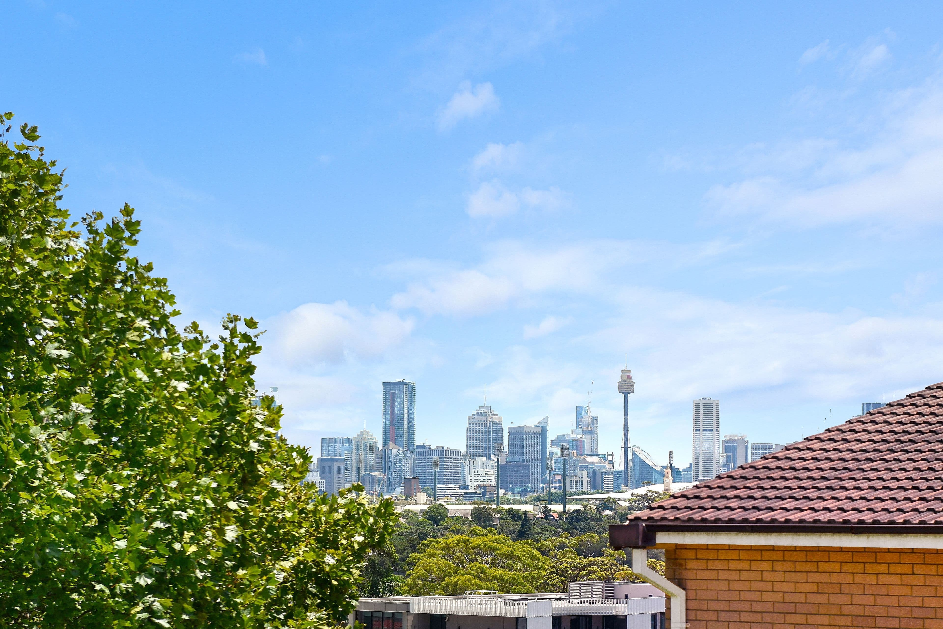 3 Church Street, Randwick NSW 2031, Randwick - Thumbnail 3
