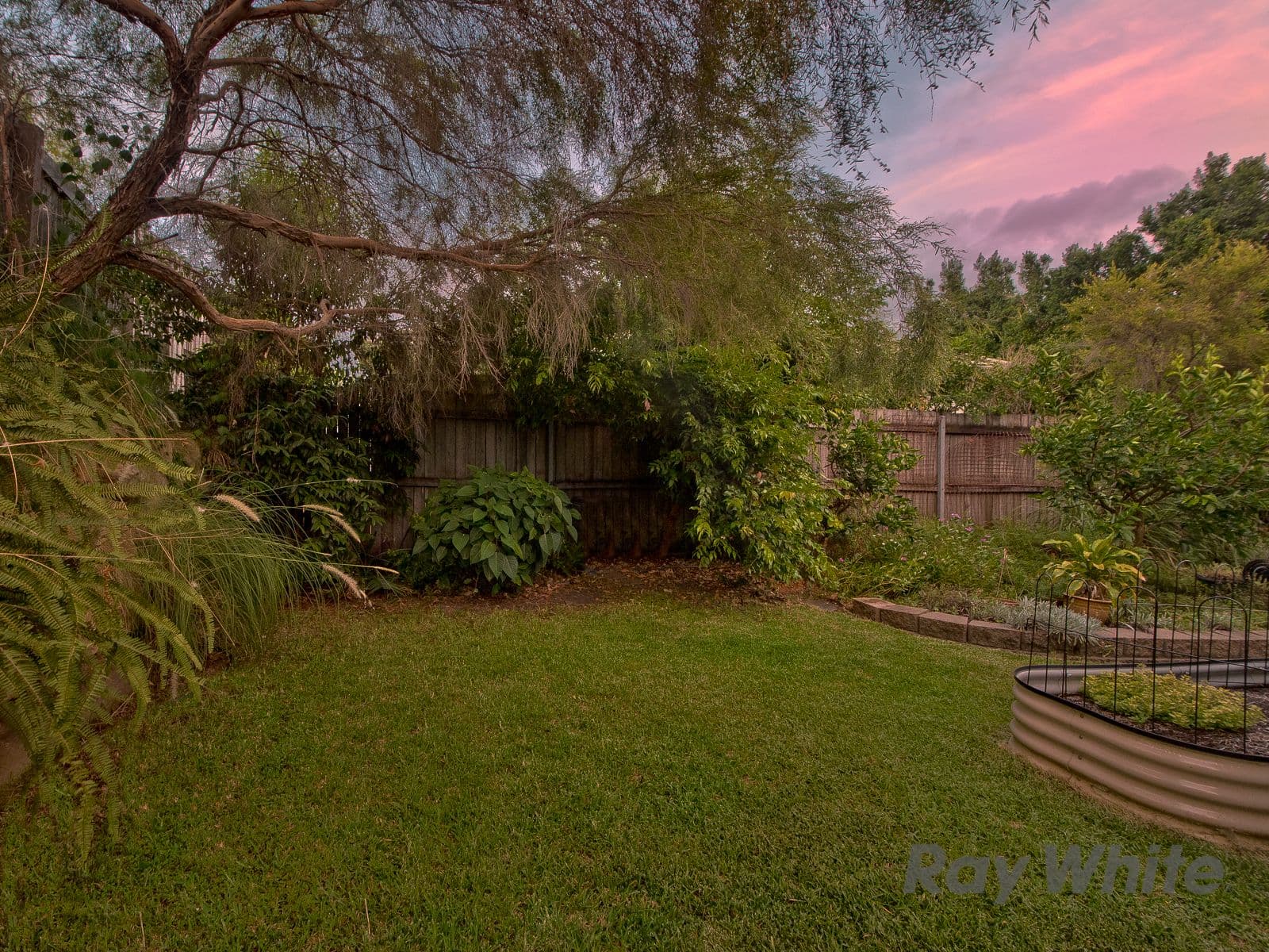 12 Redgum Place, Gaythorne QLD 4051, Gaythorne - Thumbnail 4