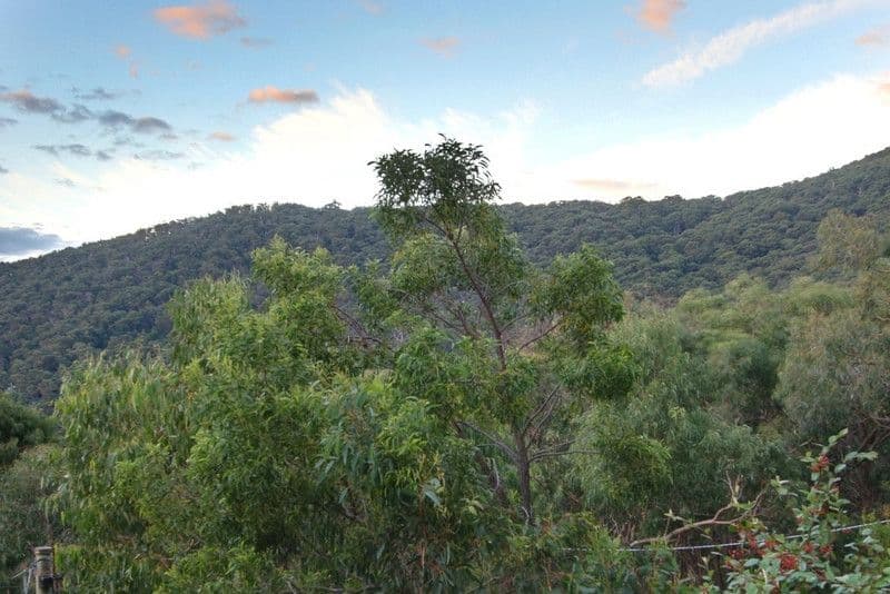 8 Hatherly Grove, FERNTREE GULLY VIC 3156, Ferntree Gully - Thumbnail 8
