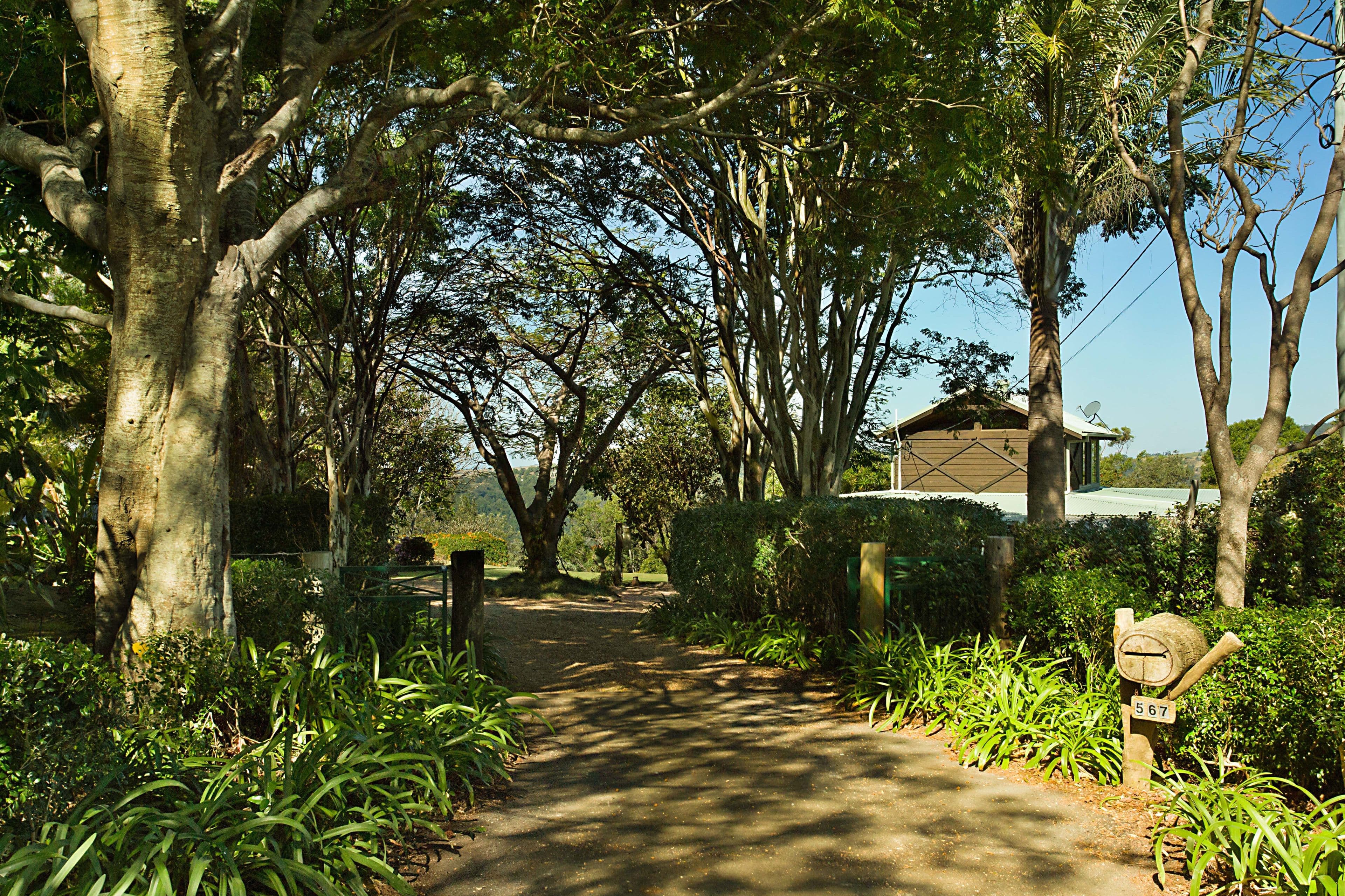 567 Trees Road, Tallebudgera QLD 4228, Tallebudgera - Thumbnail 6
