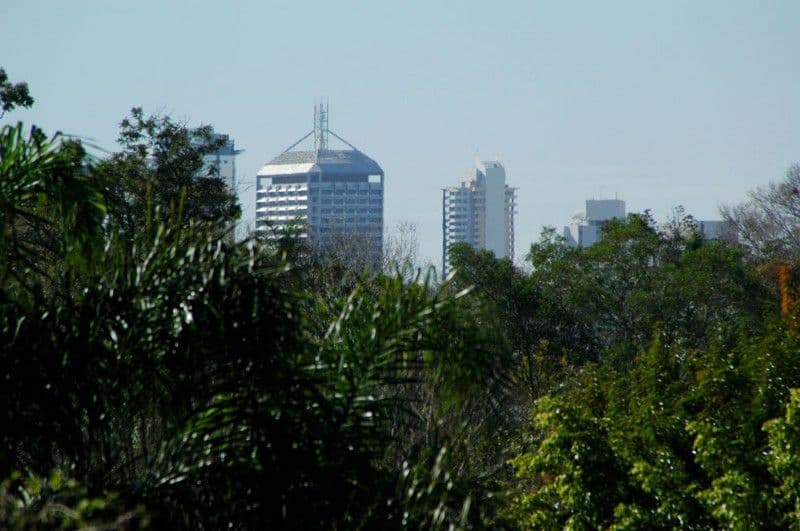 6 Thorpe Street, TOOWONG QLD 4066, Toowong - Thumbnail 3