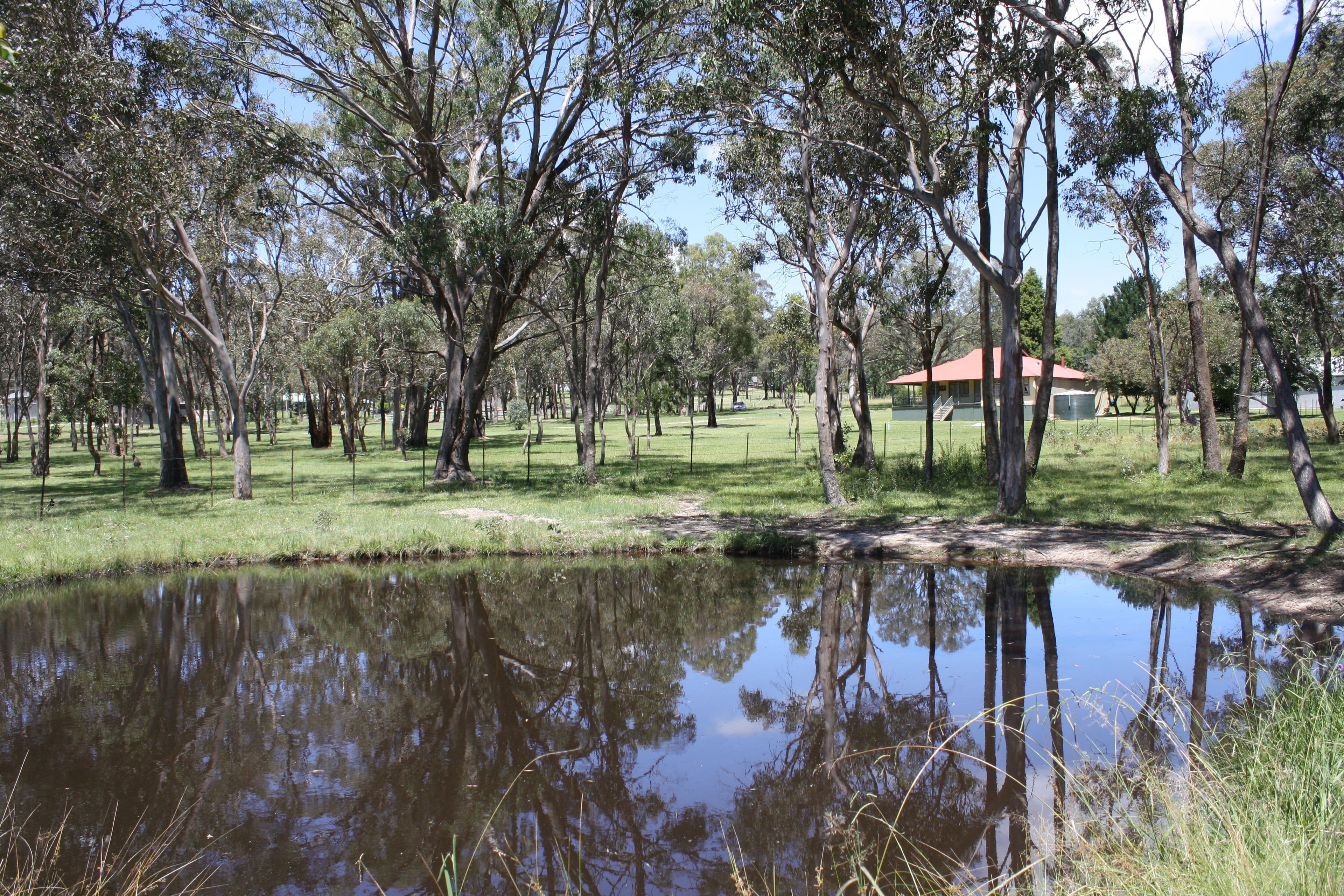 22 Dumaresq Street, Glen Innes - Thumbnail 3