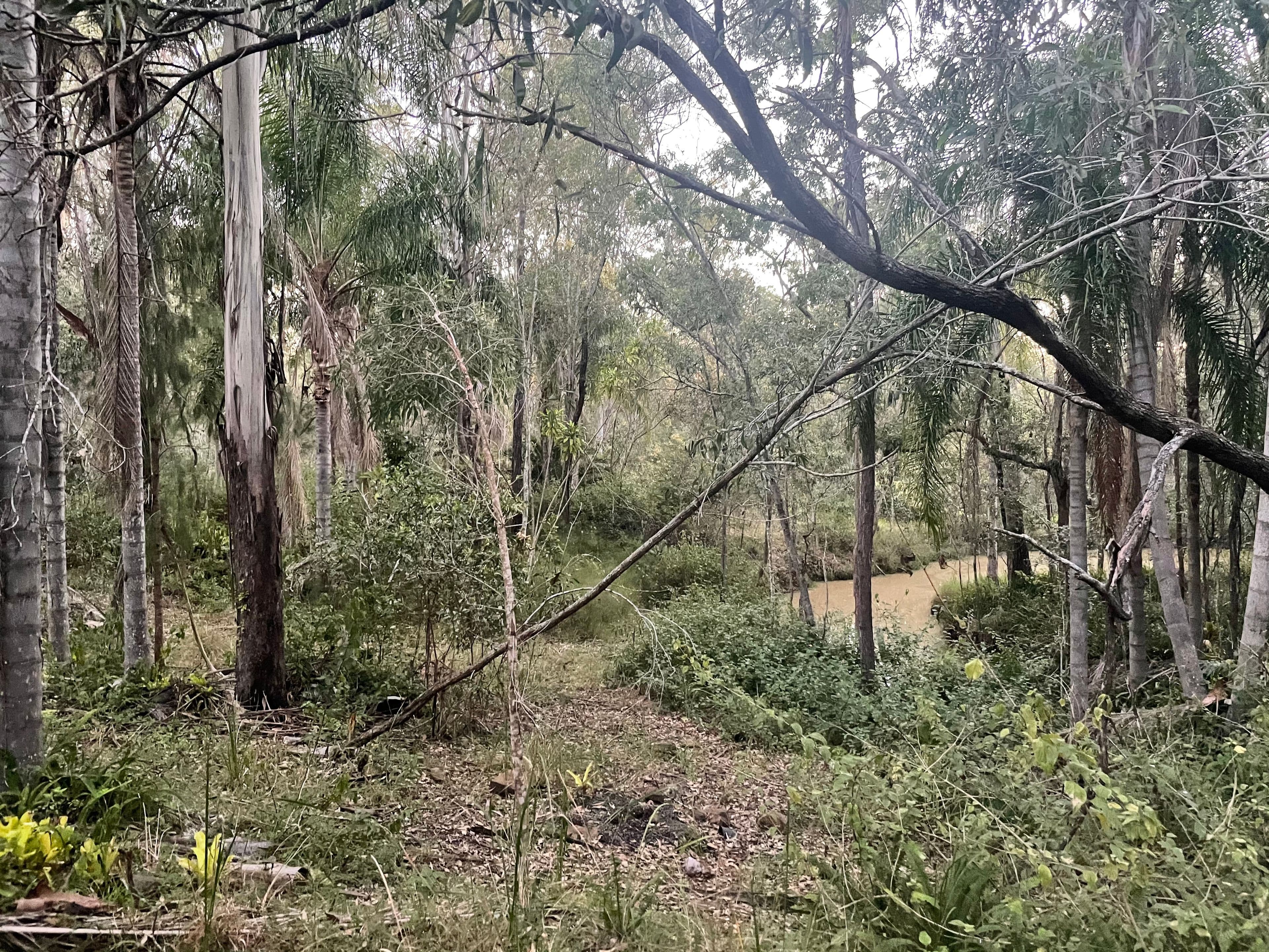 378-412 Marks Road, Jimboomba QLD 4280, Jimboomba - Thumbnail 3