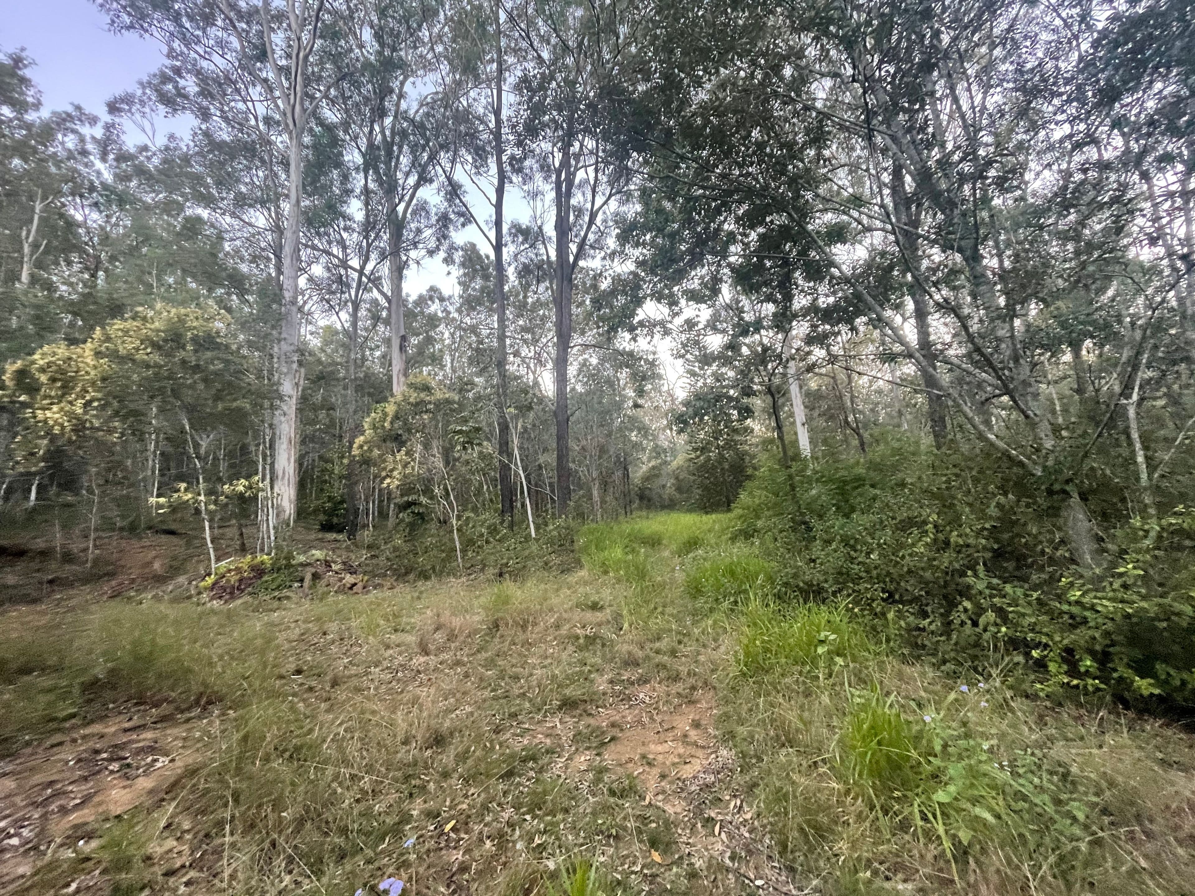378-412 Marks Road, Jimboomba QLD 4280, Jimboomba - Thumbnail 5