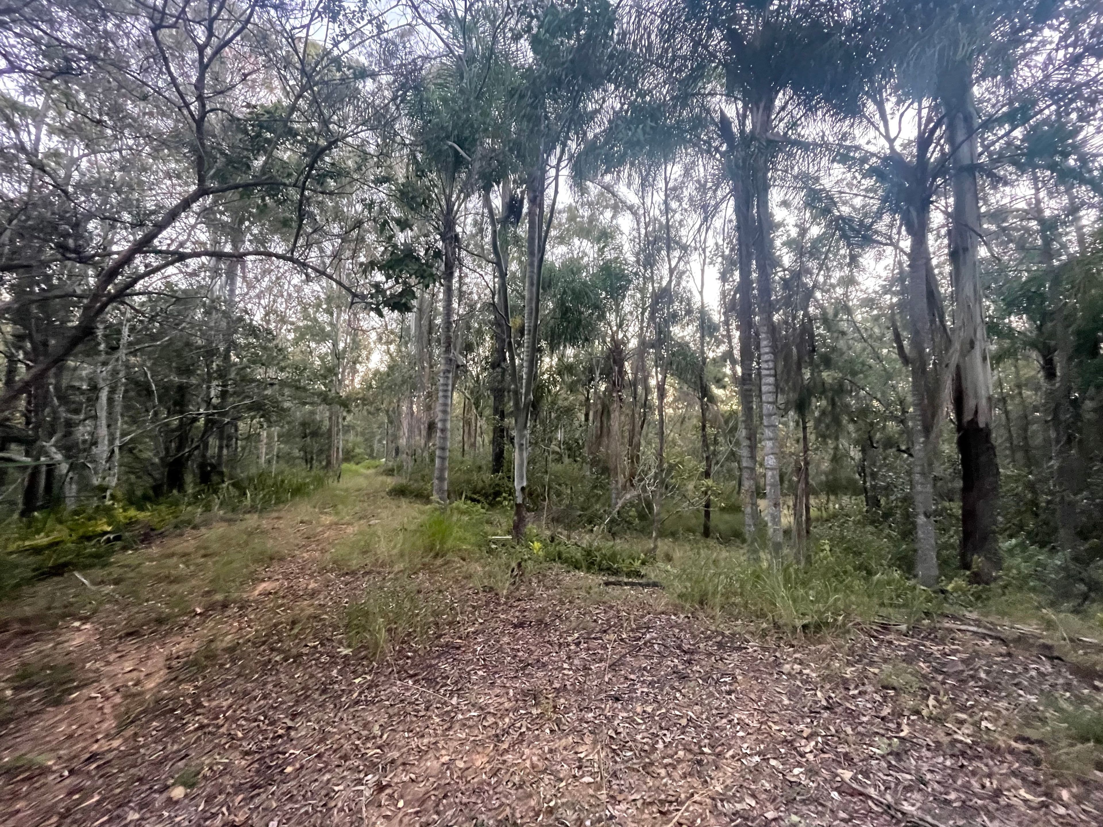 378-412 Marks Road, Jimboomba QLD 4280, Jimboomba - Thumbnail 6