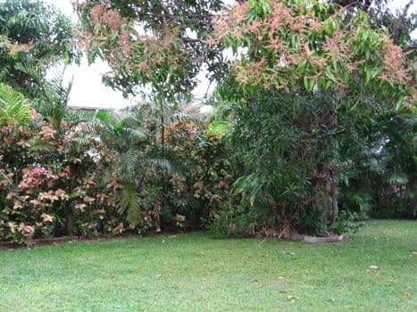 10 Mooney Street, CURRAJONG QLD 4812, Currajong - Thumbnail 7