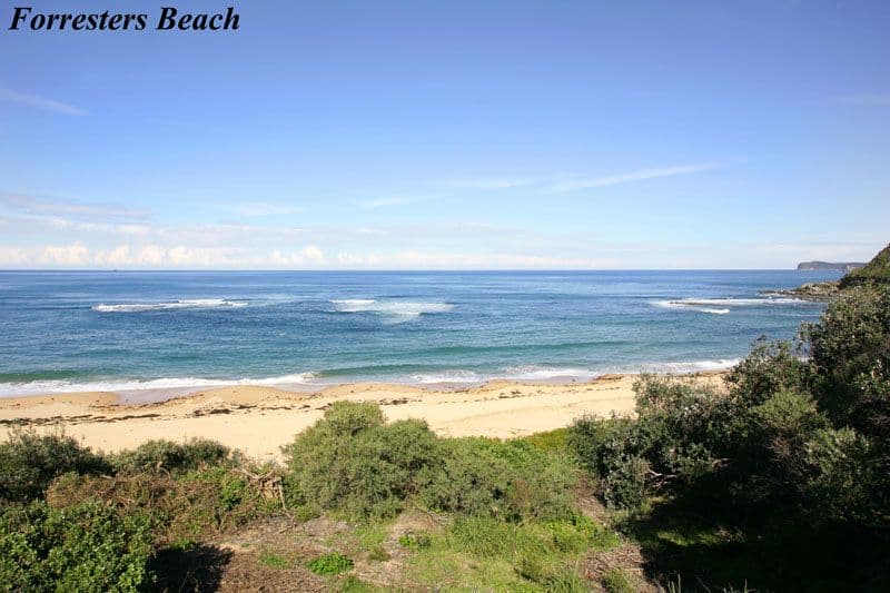 11 Alistair Avenue, FORRESTERS BEACH NSW 2260, Forresters Beach - Thumbnail 6
