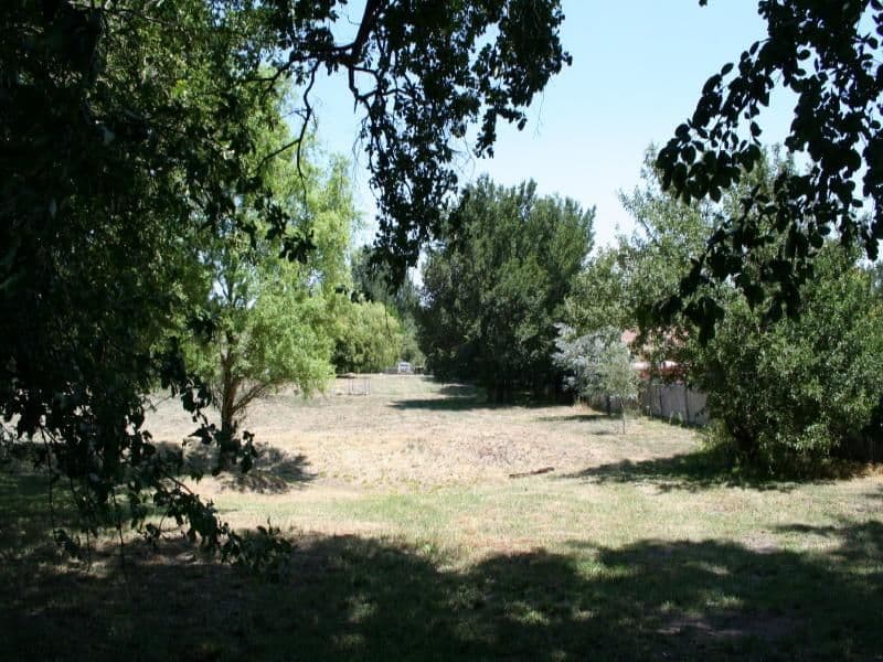 13 Solus Street, BRAIDWOOD NSW 2622, Braidwood - Thumbnail 3