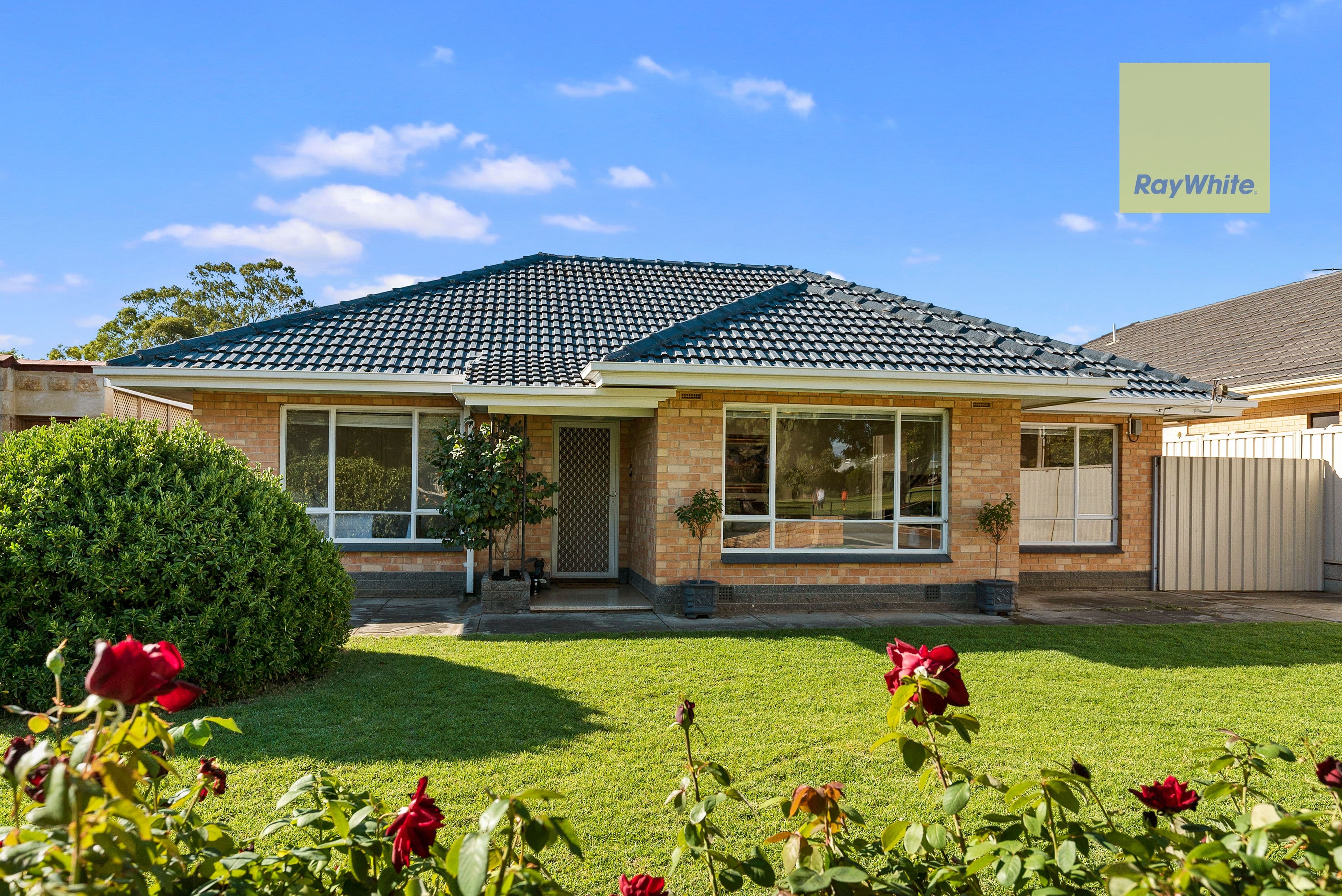 31 Allchurch Avenue, North Plympton SA 5037, North Plympton - Image 1