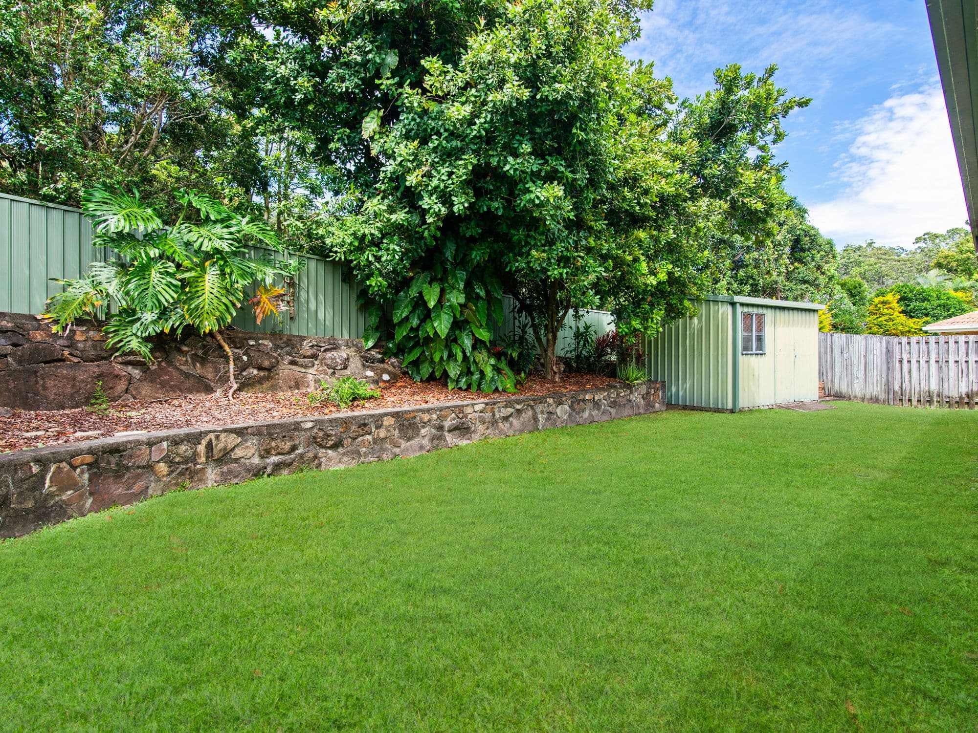 49 Saffron Street, Elanora QLD 4221, Elanora - Thumbnail 3
