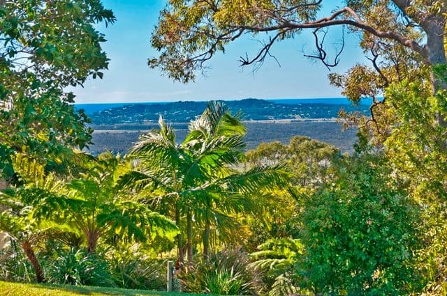 164 Ocean Vista Drive, MAROOCHY RIVER QLD 4561, Maroochy River - Thumbnail 3