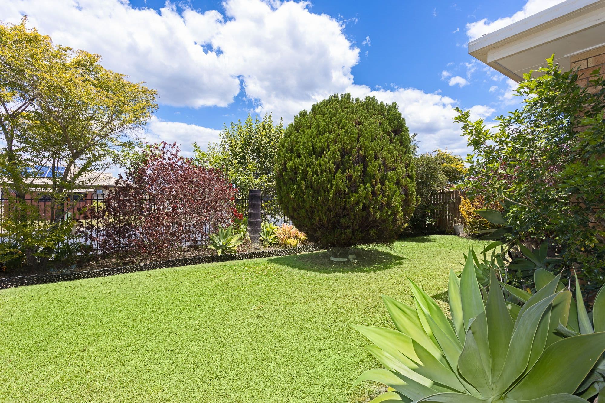 22 Drysdale Street, Rothwell QLD 4022, Rothwell - Thumbnail 4