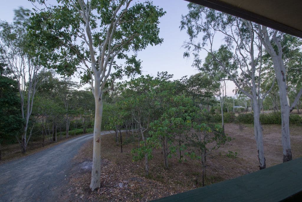 21A Braithwaite Court, Woodwark QLD 4802, Woodwark - Thumbnail 4
