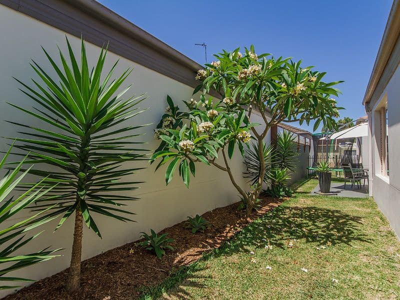 63 Cedarwood Crescent, Robina QLD 4226, Robina - Thumbnail 8