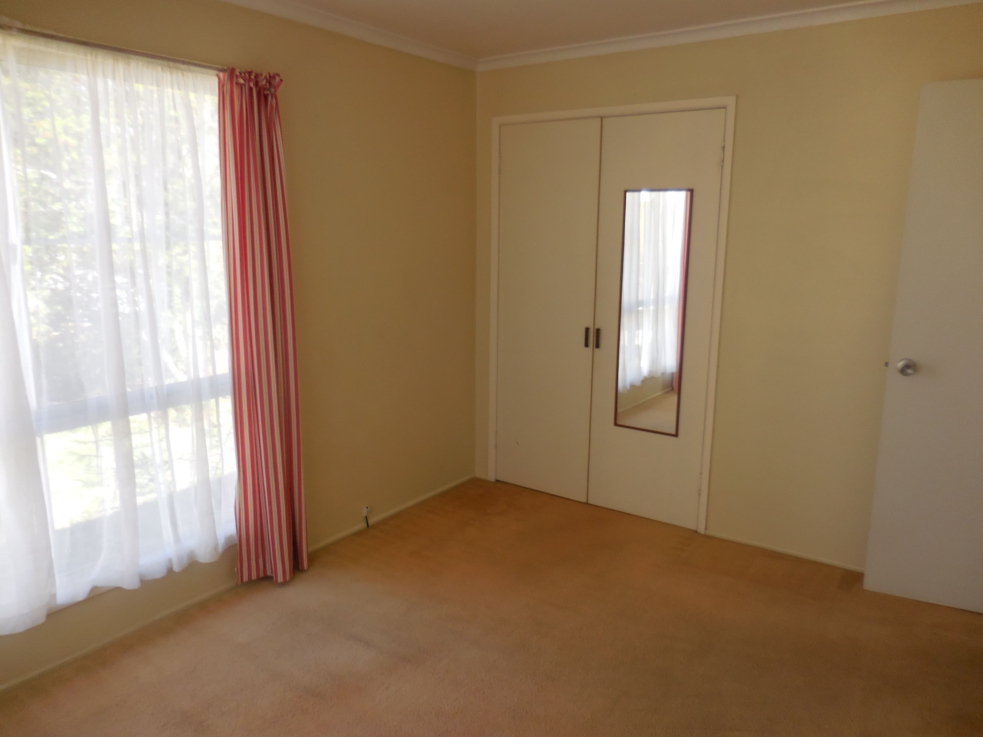 12 Russell Street, Dalby QLD 4405, Dalby - Thumbnail 5