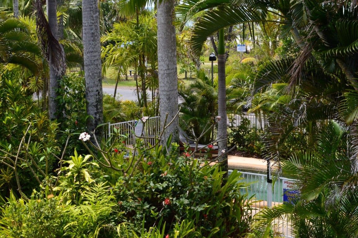 60 Porter Promenade, Mission Beach QLD 4852, Mission Beach - Thumbnail 5
