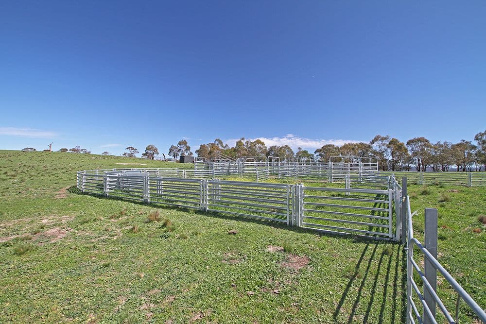 Lot 6 Tinderry Road, Anembo NSW 2621, Anembo - Thumbnail 2