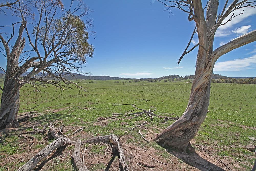 Lot 6 Tinderry Road, Anembo NSW 2621, Anembo - Thumbnail 4