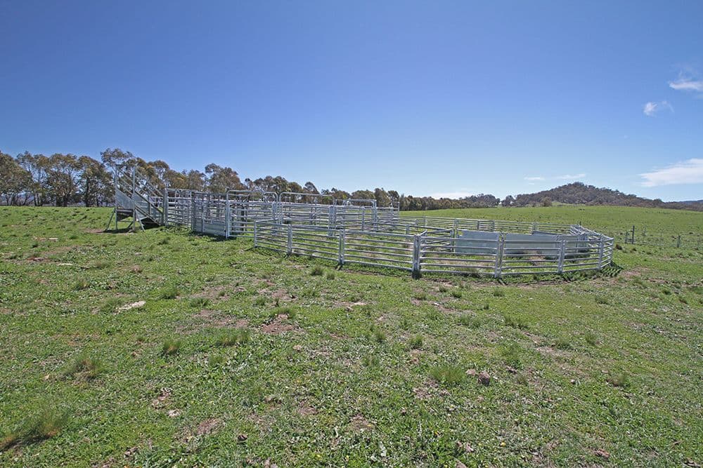 Lot 6 Tinderry Road, Anembo NSW 2621, Anembo - Thumbnail 7