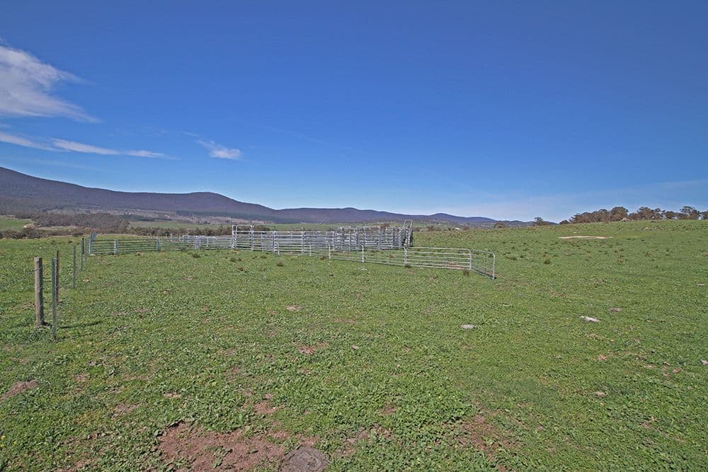 Lot 6 Tinderry Road, Anembo NSW 2621, Anembo - Thumbnail 8