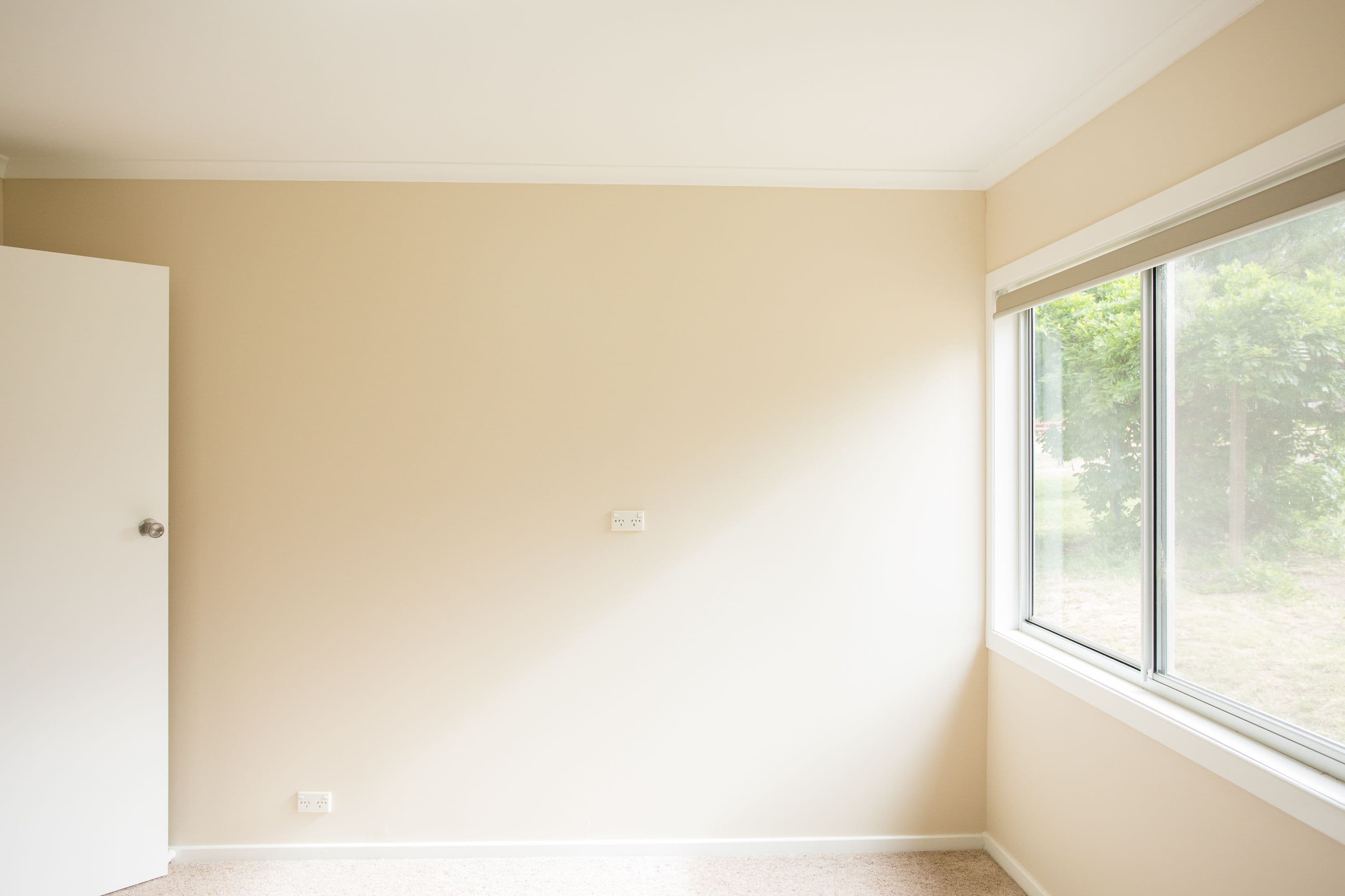 19 Kooda Road, Armidale NSW 2350, Armidale - Thumbnail 3