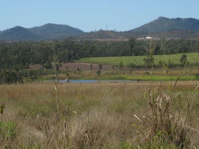 1283 Springmount Road, ARRIGA QLD 4880, Arriga - Image 1