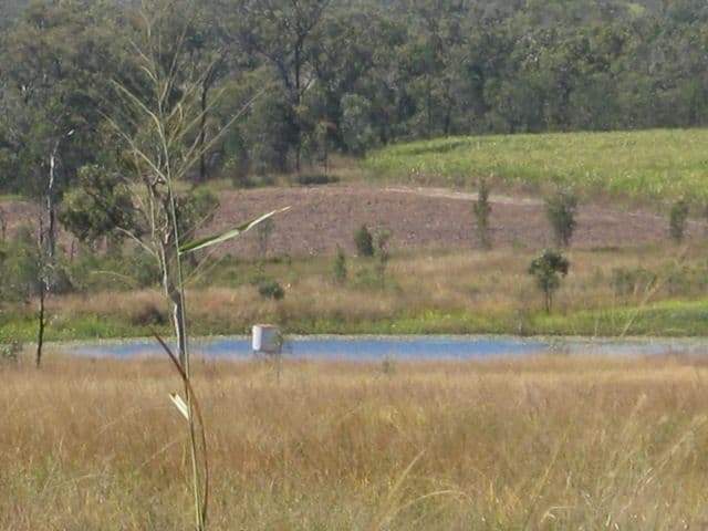1283 Springmount Road, ARRIGA QLD 4880, Arriga - Thumbnail 2