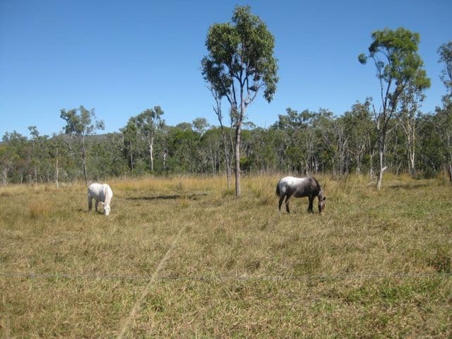 1283 Springmount Road, ARRIGA QLD 4880, Arriga - Thumbnail 5