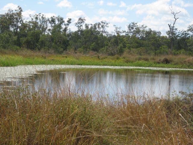 1283 Springmount Road, ARRIGA QLD 4880, Arriga - Thumbnail 8