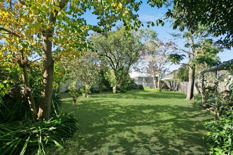 8 Myra Street, EAST MAITLAND NSW 2323, East Maitland - Thumbnail 6