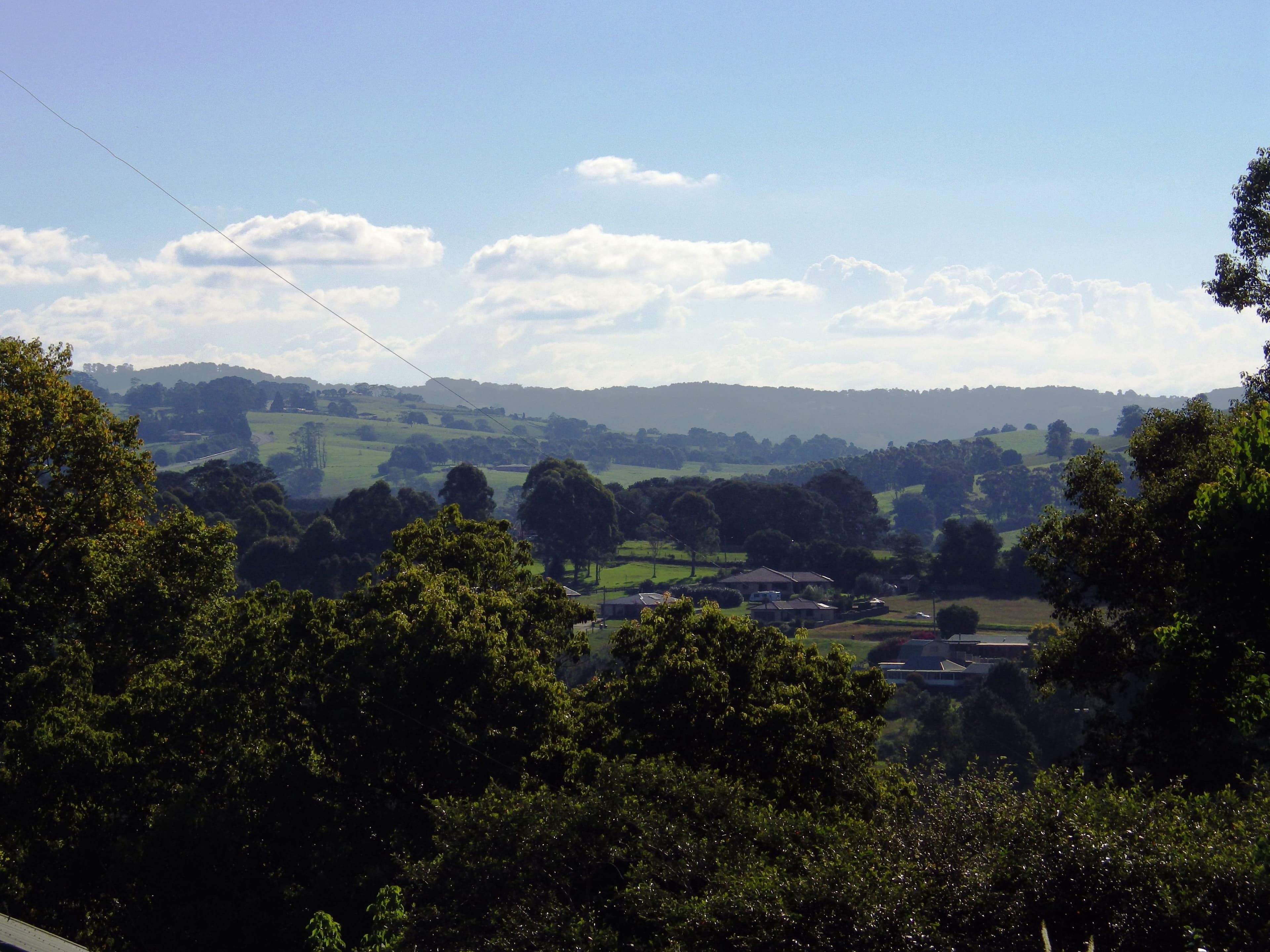 12 Beech Street, Dorrigo - Thumbnail 5