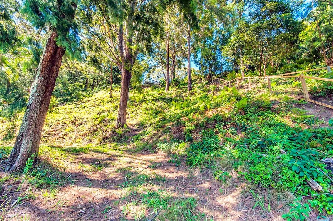 8 Alanson Avenue, BULLI NSW 2516, Bulli - Thumbnail 4