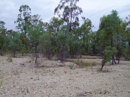 MILBRODALE NSW 2330, Milbrodale - Thumbnail 3