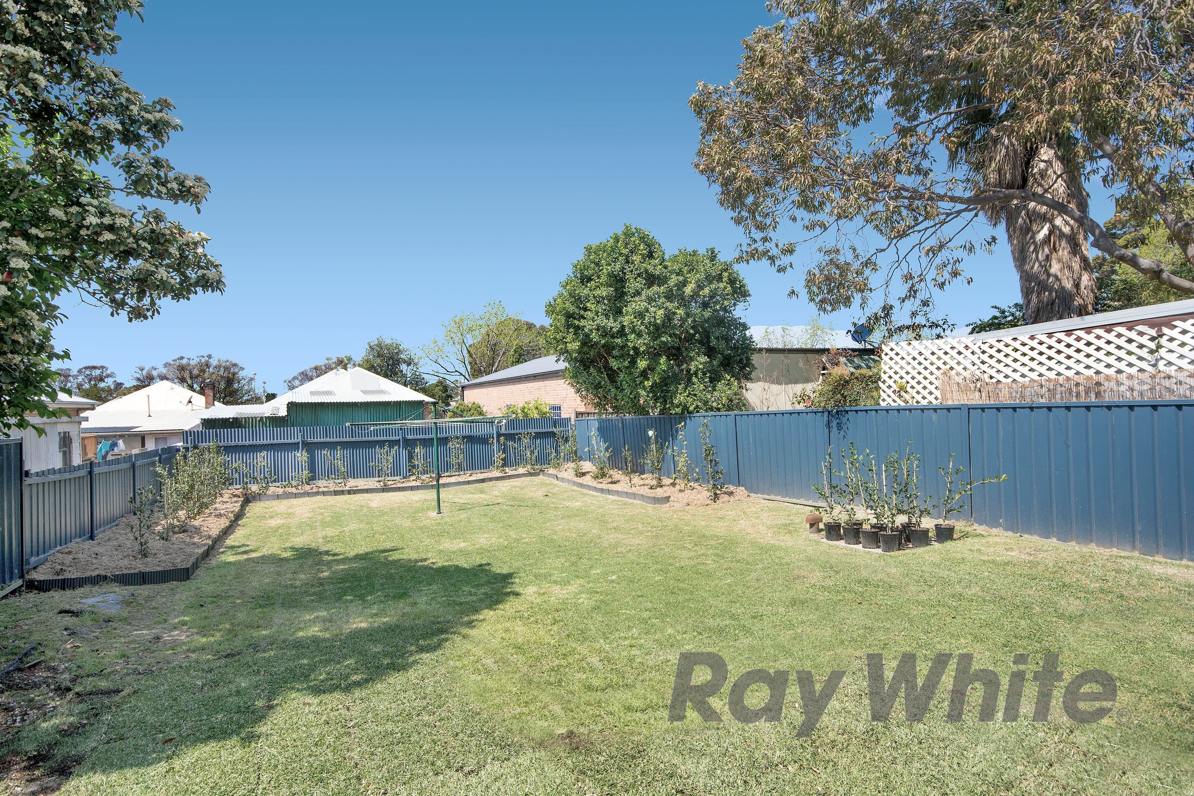 33 Fawcett Street, Mayfield - Thumbnail 5