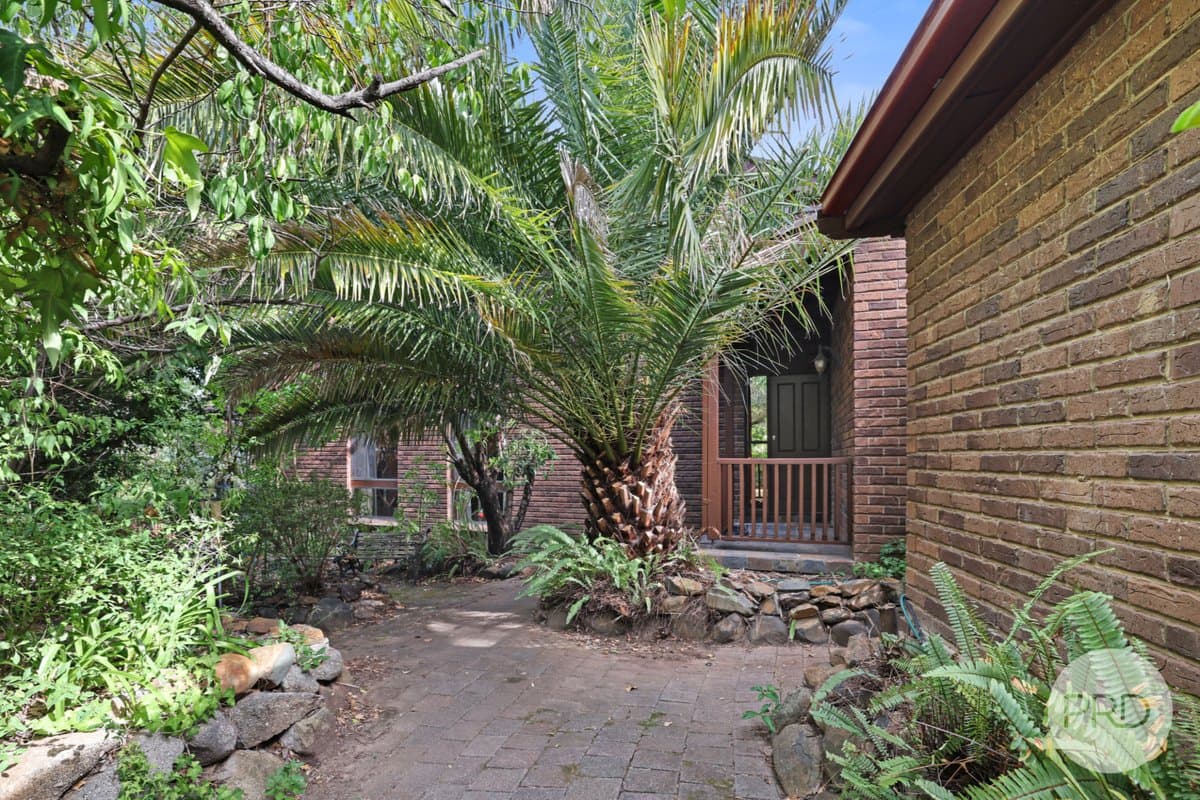 11 Jacaranda Place, TAMWORTH NSW 2340, Tamworth - Thumbnail 2