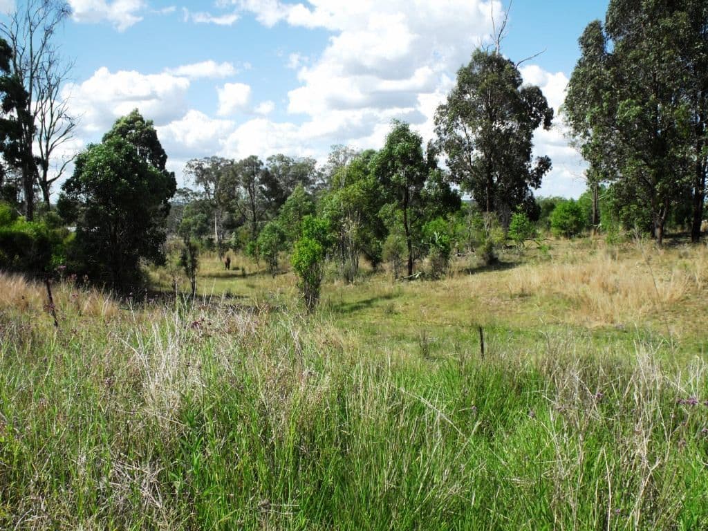 Lot 7 Cobby Road, NANANGO QLD 4615, Nanango - Image 1