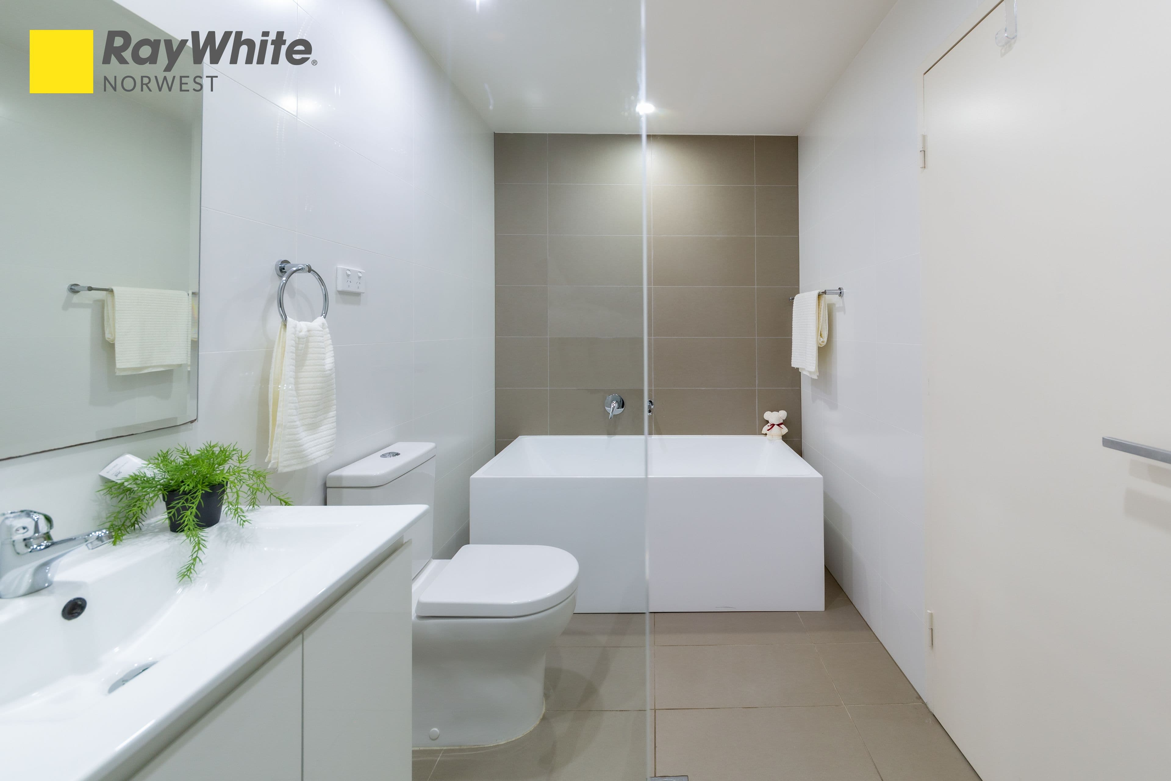260 Coward Street, Mascot NSW 2020, Mascot - Thumbnail 7