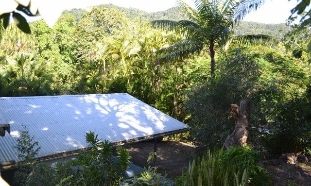 133 Orchid Road, Cannon Valley QLD 4800, Cannon Valley - Thumbnail 7